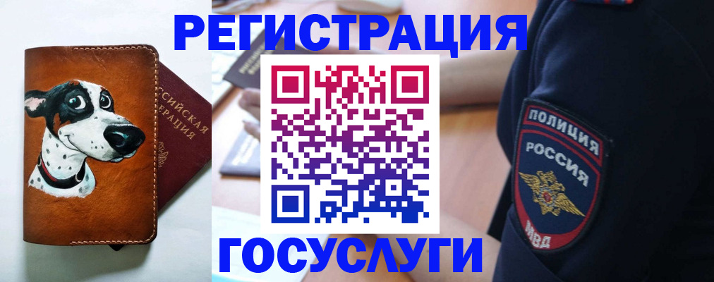 временная регистрация в квартире в Красноярском крае